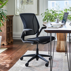 Humanscale World Chair