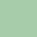 TAY Patina (P211)