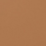 TAY Mocha Mousse (P230)
