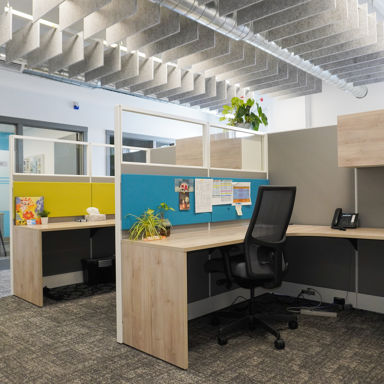Modern office cubicle with sound dampening ceiling system