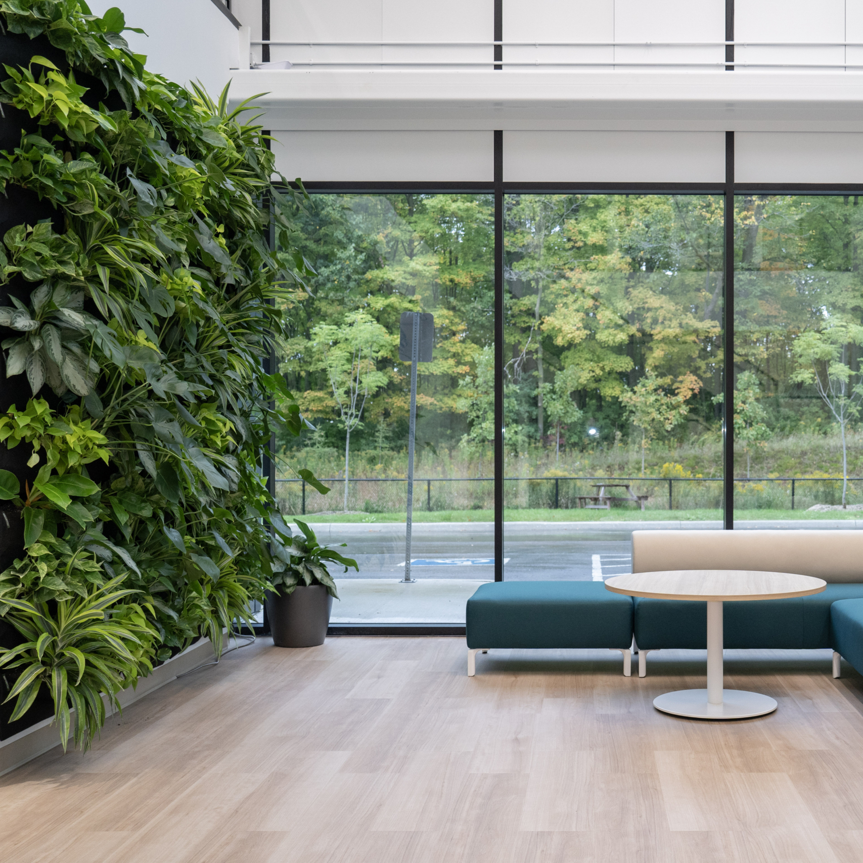 Eco Guardian’s HQ: Bringing the Forest Indoors with Biophilic Design